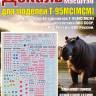 Декаль на 40 вариантов Т_у-95МС(МСМ) из состава ВВС СССР, ВВС России, ВКС России. 1:144