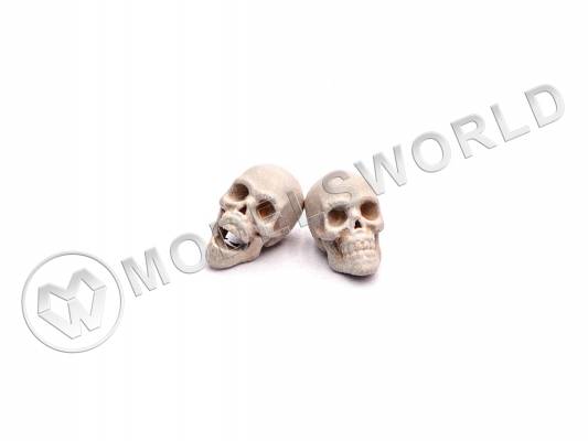 Черепа человеческие, размер S, 20 шт. Масштаб 1:48